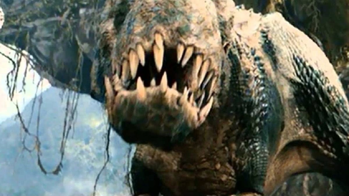 Zdjęcie ilustracyjne