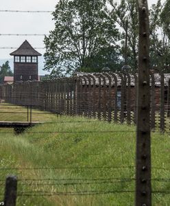 Były SS-man “niczego nie żałuje”. Głośno neguje Holokaust. Właśnie usłyszał zarzuty