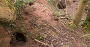 Anglia: przez króliczą norę do niesamowitych, podziemnych komnat