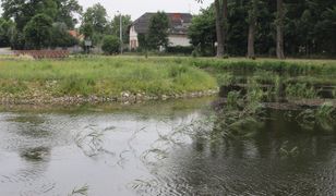 Białystok. Zwłoki w Stawach Marczukowskich. Wyłowiono ciało nieznanego mężczyzny