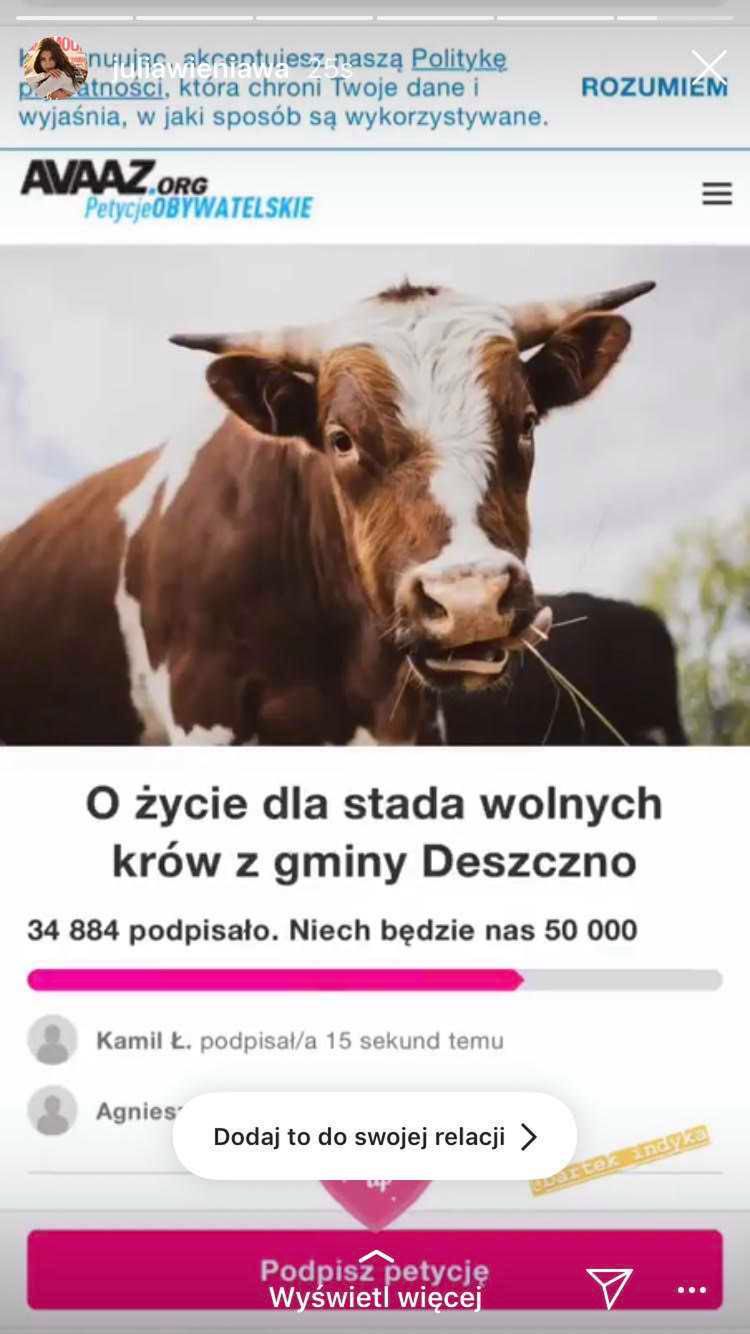 Julia Wieniawa - gwiazdy bronią wolnych krów