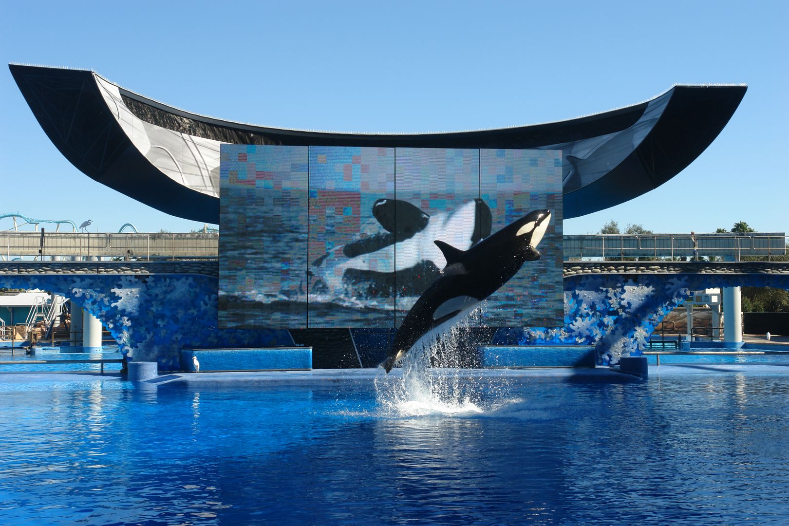 SeaWorld Florida, Orlando, Floryda, USA - 4,4 mln odwiedzających