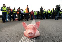 Protest rolników 2019 da się we znaki mieszkańcom Warszawy. Utrudnienia w ruchu na Krakowskim Przedmieściu