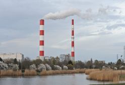 Martwa kobieta w Jeziorku Czerniakowskim