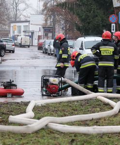 Czarna maź w Warszawie. Wiadomo, kto mógł zostawić bombę ekologiczną