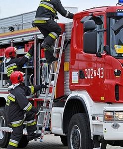 Strażacy pojechali do pożaru lasu. Znaleźli ciało