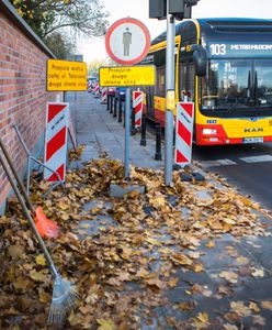 1 listopada w Warszawie. Dodatkowe linie autobusowe i punkty z biletami – będą zmiany w organizacji ruchu na Wszystkich Świętych