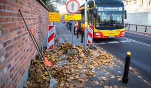 1 listopada w Warszawie. Dodatkowe linie autobusowe i punkty z biletami – będą zmiany w organizacji ruchu na Wszystkich Świętych