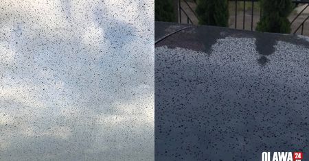 Awaria ciepłowni. Domy, samochody i zwierzęta pokryła czarna sadza