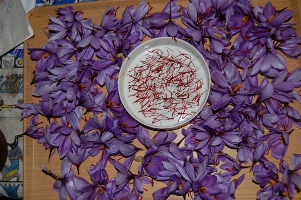 Gotujesz? Rozpoznaj przyprawy na zdjęciach!