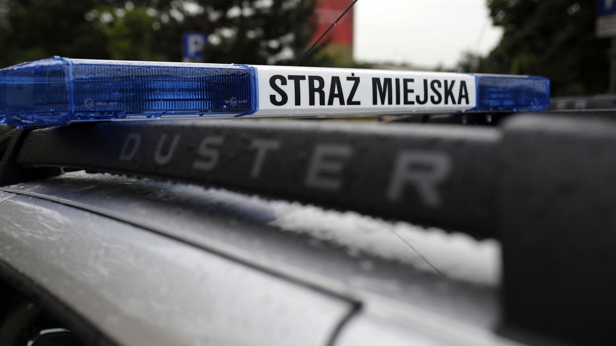 Zaparkowali na zakazie.