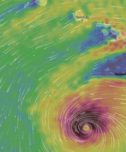 Stan wyjątkowy na Hawajach. Nadchodzi potężny huragan Lane