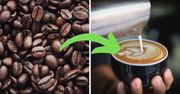Czy kawa może się przeterminować? Jak poznać starą kawę?