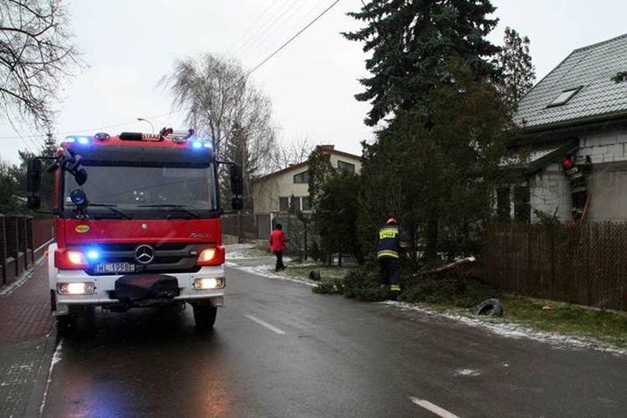 Najtrudniejsza sytuacja jest w województwie lubuskim