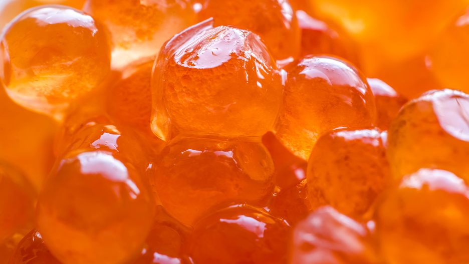 background made of red caviar macro