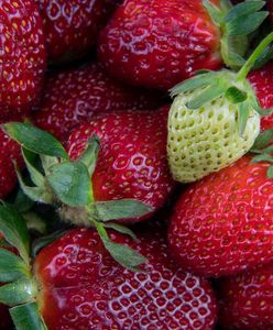 Tekst o pestycydach w truskawkach wywołał burzę. Mamy komentarz