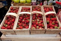 Truskawki w tym roku dobrem luksusowym. Drogie, ale są!