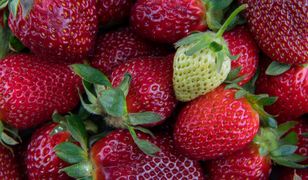 Tekst o pestycydach w truskawkach wywołał burzę. Mamy komentarz
