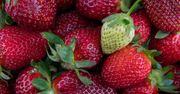 Tekst o pestycydach w truskawkach wywołał burzę. Mamy komentarz