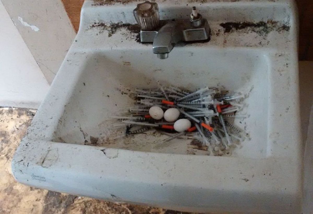 Gołębie zrobiły gniazdo ze strzykawek narkomanów