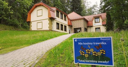 Nowa wojna w polskich miastach. Poszło o... koszenie trawników