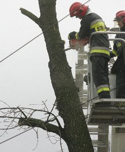 W kolejnych gminach wznowiane są dostawy prądu