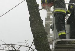 W kolejnych gminach wznowiane są dostawy prądu