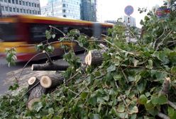 110 km/h - z taką prędkością będzie wiał wiatr w Polsce