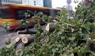 110 km/h - z taką prędkością będzie wiał wiatr w Polsce