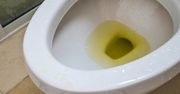 Biorę kosmetyk męża i rozsmarowuję przy sedesie. Domownicy mi za to dziękują
