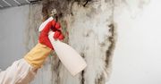 Mieszam z wodą i pryskam ścianę. Najlepsza kuracja antypleśniowa za 10 zł
