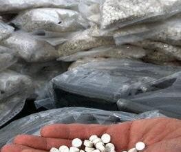 Ekstaza policyjnego psa