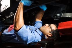 Dają 1000 euro i smartfony za odbycie stażu