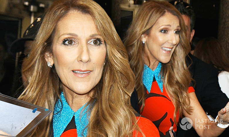 Celine Dion paparazzi 2016