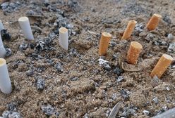 Niedopałki papierosów większym źródłem zanieczyszczeń niż plastikowe słomki. Filtry zabijają zwierzęta i trują dzieci