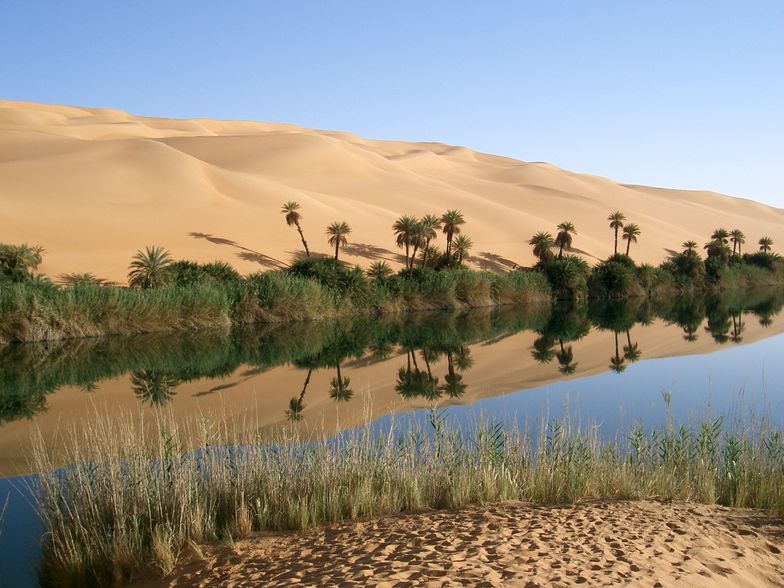 Ubari Oasis - Libia