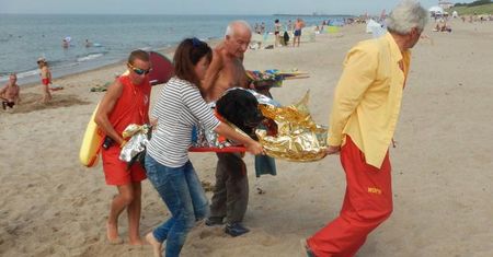 Niezwykła interwencja ratowników na plaży. Uratowali psa, który miał zawał