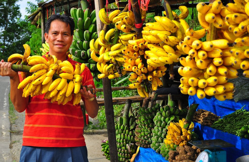 Banany mogą całkowicie zniknąć w ciągu pięciu lat