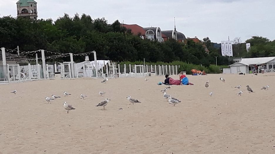 Plaża w Sopocie. Pogoda płata turystom figle. Zimno i wietrznie.