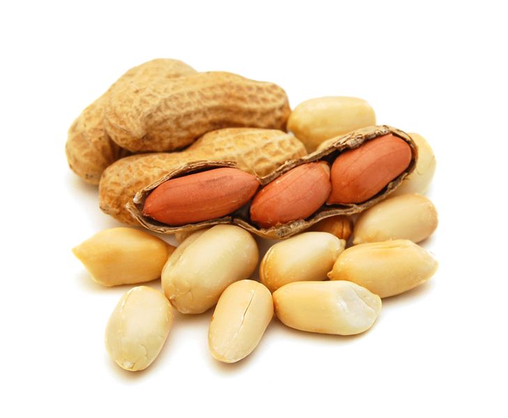 Alergia na orzechy ziemne jest IgE-zależną alergią pokarmową, z którą zmaga się spora część populacji.