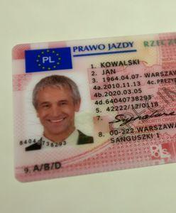 Polacy oszukują holenderskie urzędy w sprawie prawa jazdy