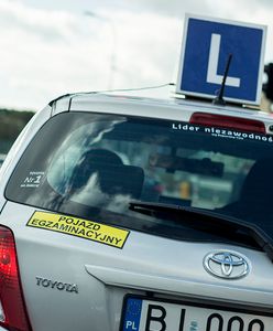 Egzamin na prawo jazdy 2019. Zmiany przepisów - czego dotyczą?