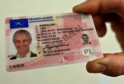 Polacy oszukują holenderskie urzędy w sprawie prawa jazdy