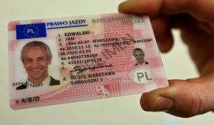 Polacy oszukują holenderskie urzędy w sprawie prawa jazdy
