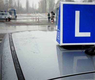 Nie spiesz się z kursem prawa jazdy. CEPiK 2.0 znów opóźniony