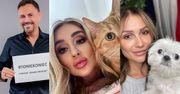 Gwiazdy wspierają akcję świąteczną na rzecz zwierząt. Krzysztof Ibisz, Madzia Wójcik, Sylwia Madeńska