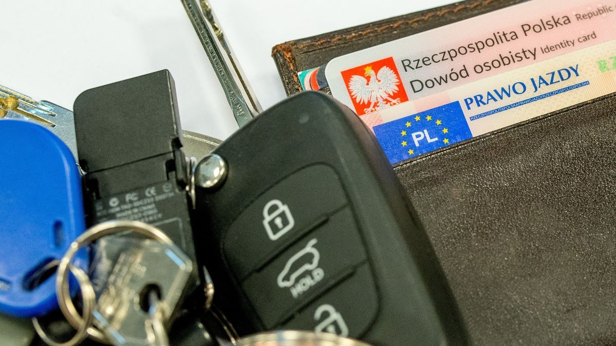 Prawo jazdy 2019. Obowiązkowa wymiana dokumentów