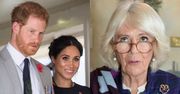 Księżna Camilla ZASTANAWIA SIĘ przy odpowiedzi na pytanie, czy będzie tęsknić za Meghan i Harrym po "Megxicie"