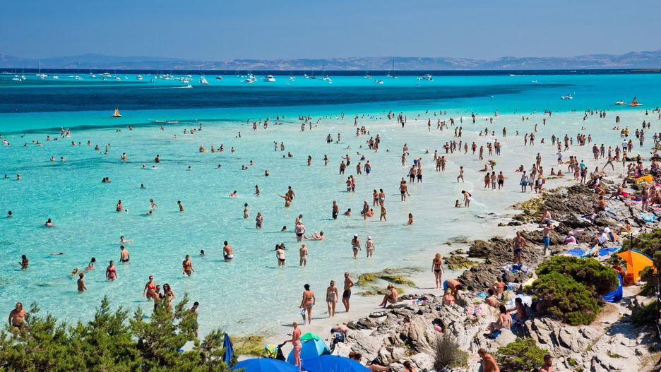 Plaża Spiaggia la d. Pelosa na Sardynii