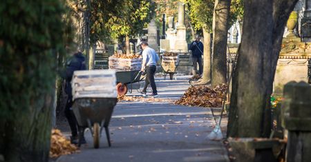 Wszystkich Świętych. Koniec dużej akcji na Starych Powązkach w Warszawie. Inwentaryzacja ułatwi odnowienie grobów